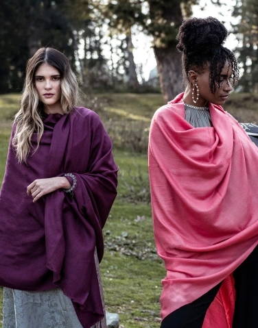 Solid Pashmina